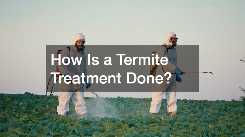 How Is a Termite Treatment Done?